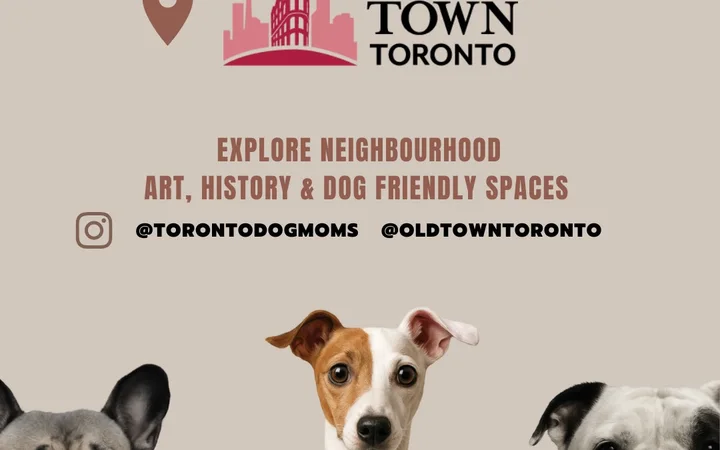 Toronto Dog Moms X Old Town BIA #2: Paws Walk