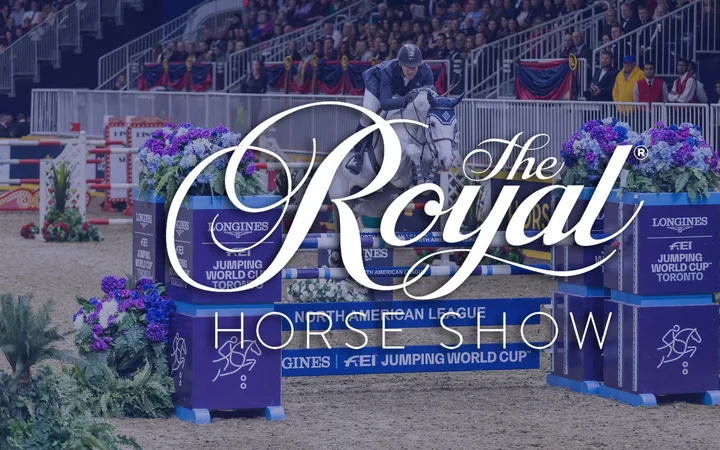 Championship Show Jumping