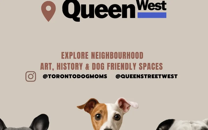 Toronto Dog Moms X Queen Street West BIA:狗狗漫步
